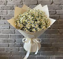 Букет цветов из:  Ромашки в Холме