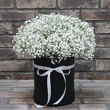 Цветочная композиция из Гипсофила в шляпной коробке #REPLACE_PRED# Холме