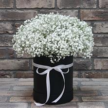 Цветочная композиция из Гипсофила в шляпной коробке в Холме