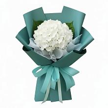 Букет цветов из:  Гортензия в Холме